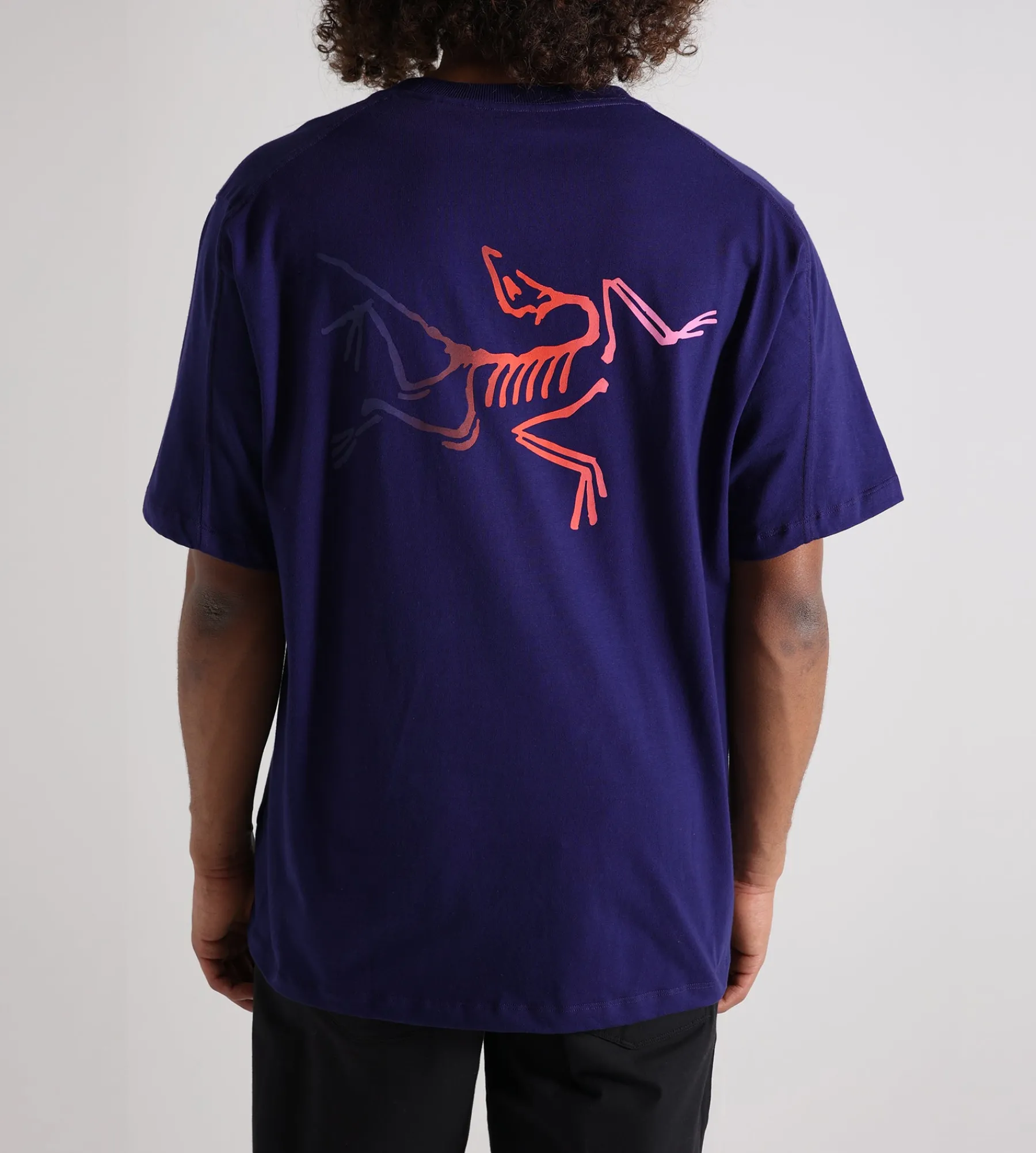 Arc'teryx Kragg Cotton Logo Tee M Soulsonic Dynasty