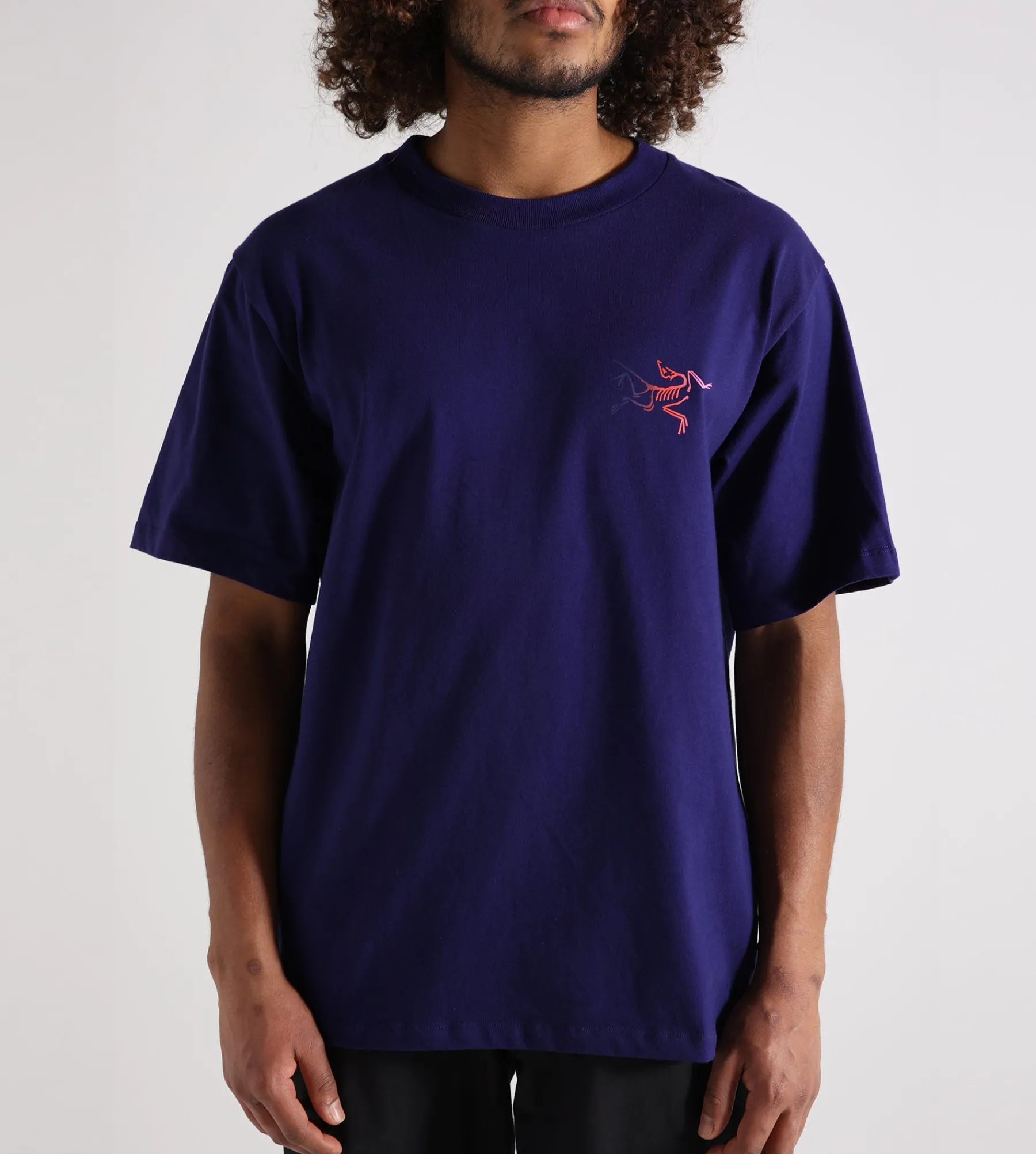 Arc'teryx Kragg Cotton Logo Tee M Soulsonic Dynasty