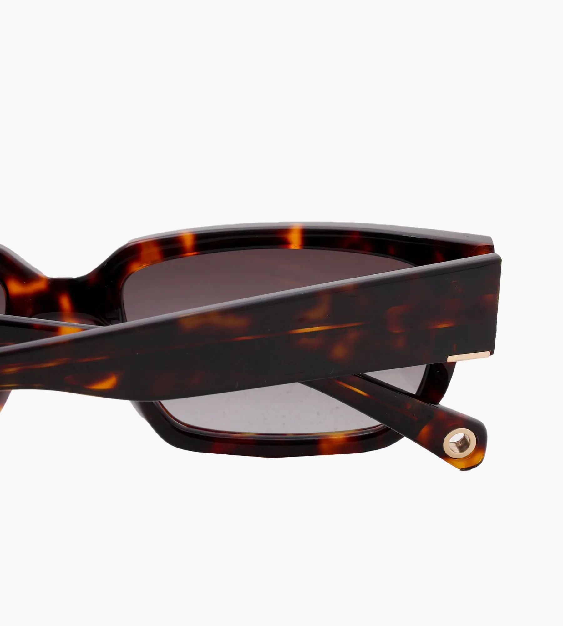 Baskèts | Sample_Eyewear 003 Speckle Tortoise