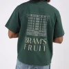 Bram's Fruit Fruit Store T-Shirt Dark Green