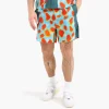Potato Head Tokek Gecko Shorts Tokay Gecko