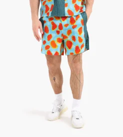 Potato Head Tokek Gecko Shorts Tokay Gecko