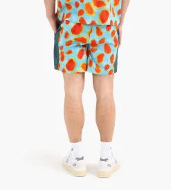 Potato Head Tokek Gecko Shorts Tokay Gecko