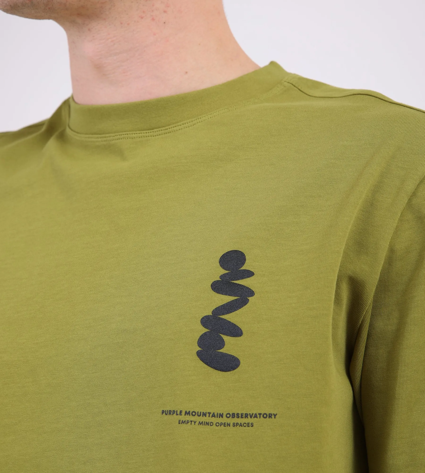 Purple Mountain Observatory Boulders Tee Olive