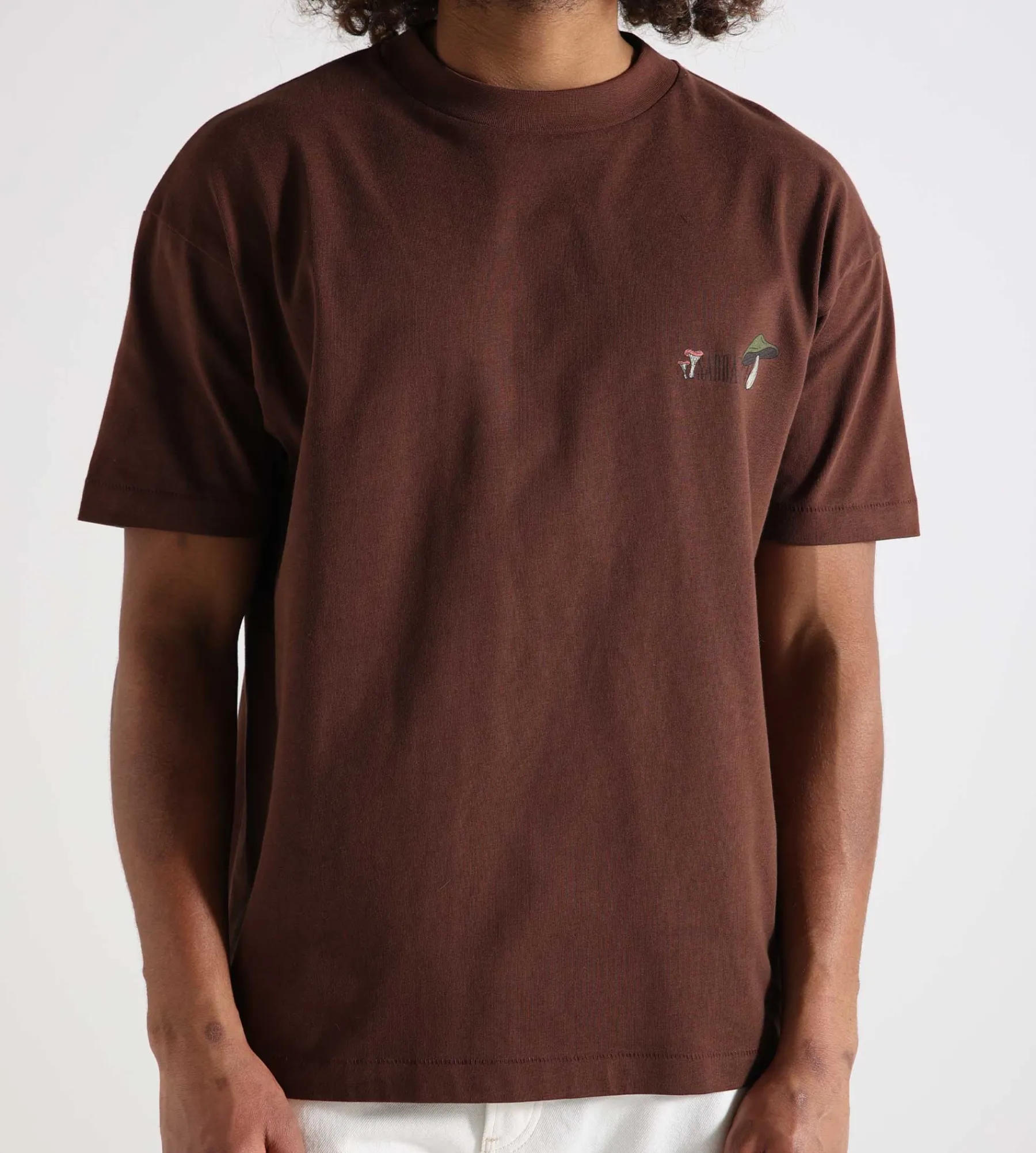 Sabbatical Dancing Shrooms T-Shirt Brown