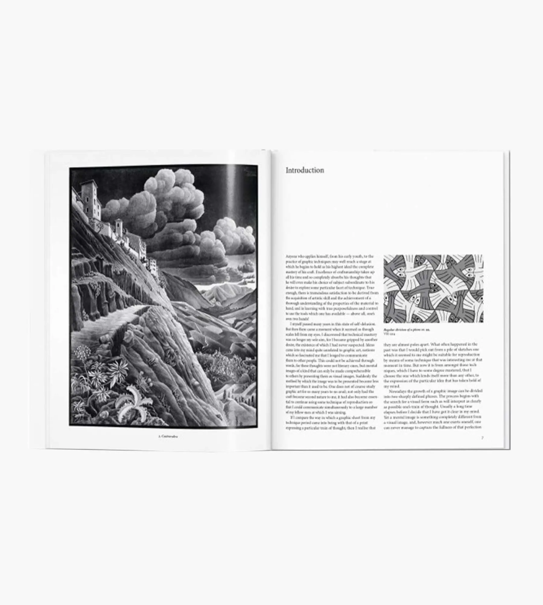 Taschen Escher basismonografie. Grafiek en Tekeningen
