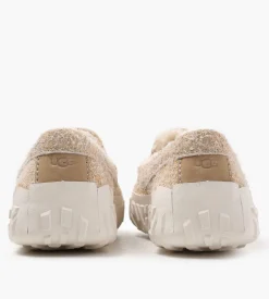 UGG M Ascot Wrap Tech Mustard Seed